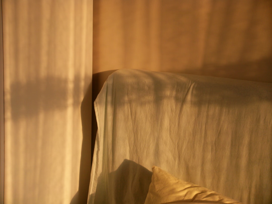 Golden morning light illuminating a new day